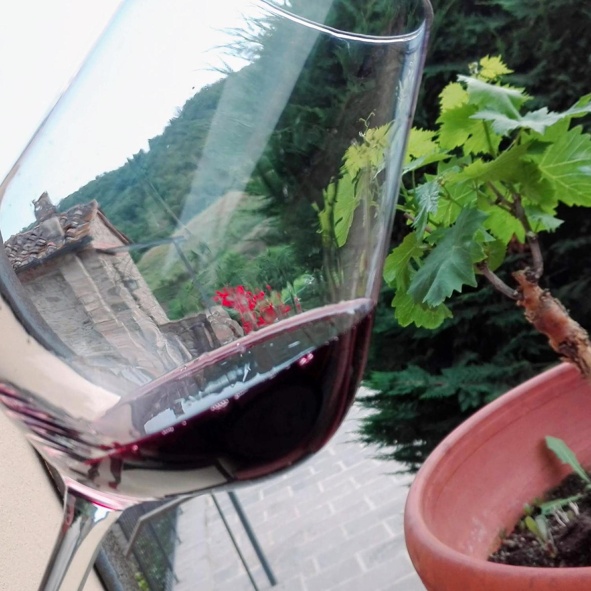 Villa Buonasera Agriturismo Greve in Chianti Eksteriør billede