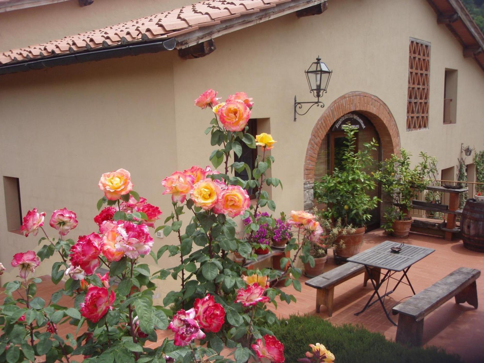 Villa Buonasera Agriturismo Greve in Chianti Eksteriør billede