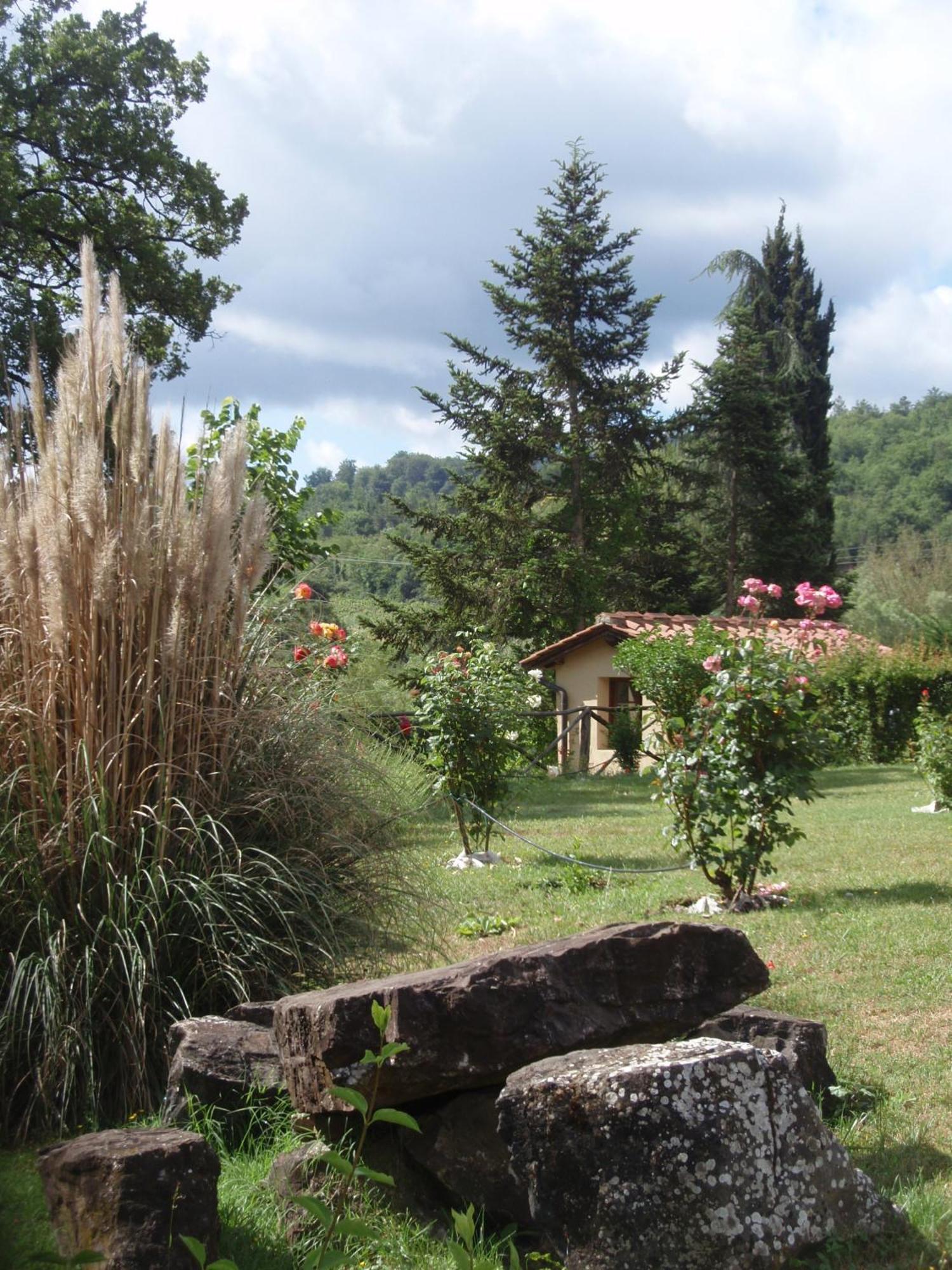 Villa Buonasera Agriturismo Greve in Chianti Eksteriør billede