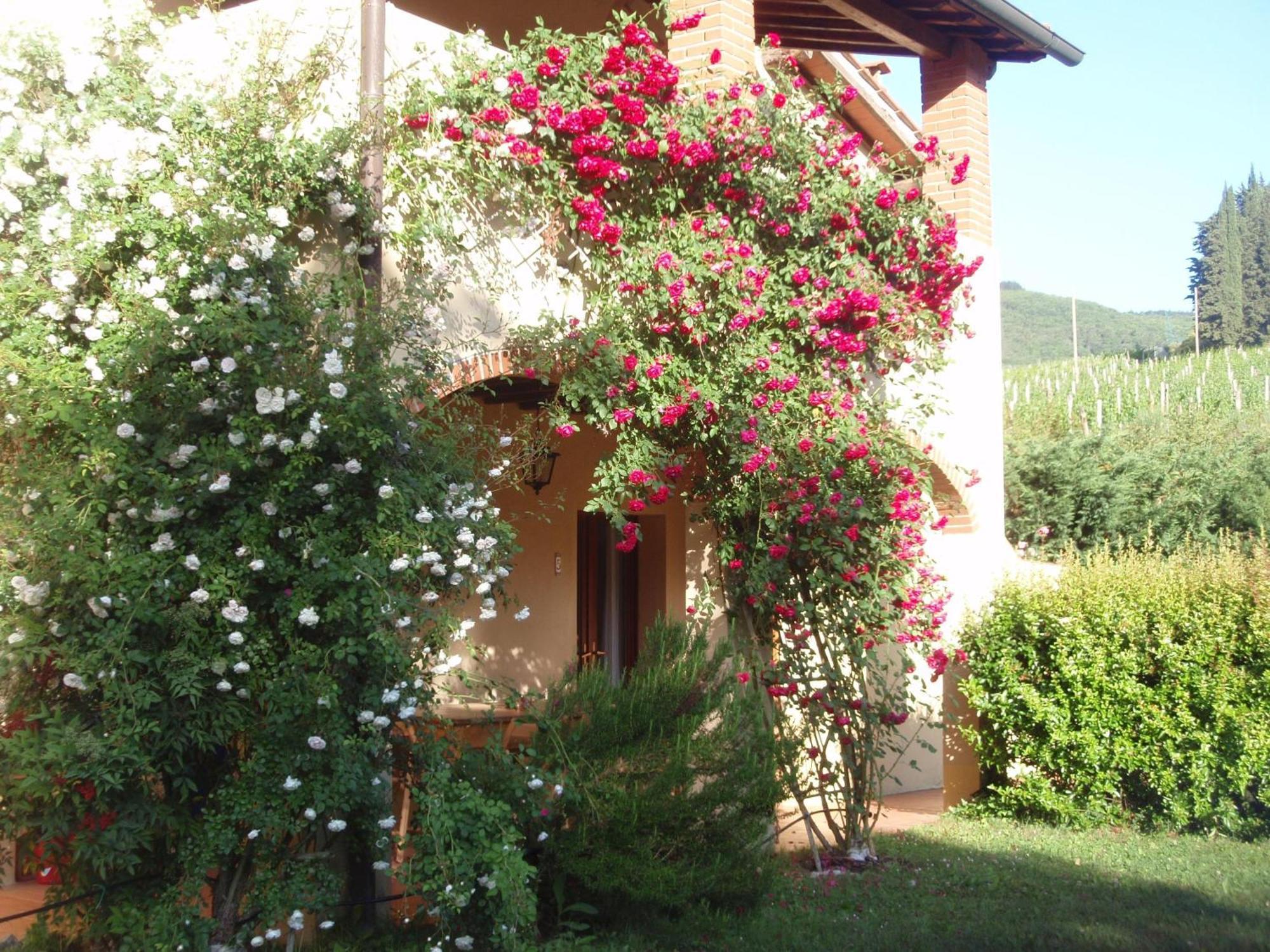 Villa Buonasera Agriturismo Greve in Chianti Eksteriør billede