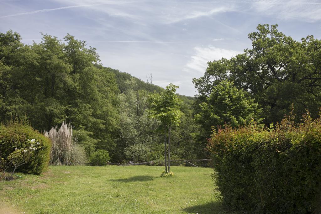 Villa Buonasera Agriturismo Greve in Chianti Eksteriør billede