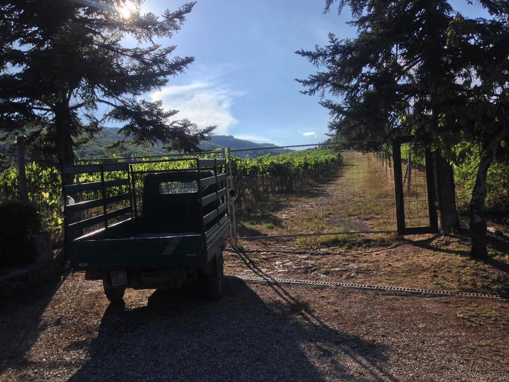 Villa Buonasera Agriturismo Greve in Chianti Eksteriør billede